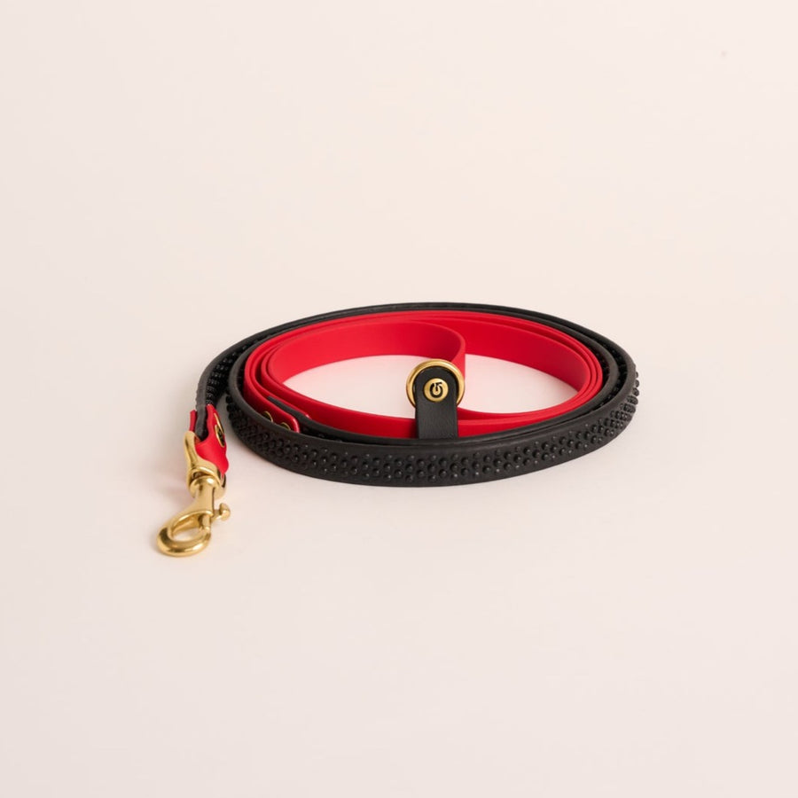 Handsfree dog leash - Red