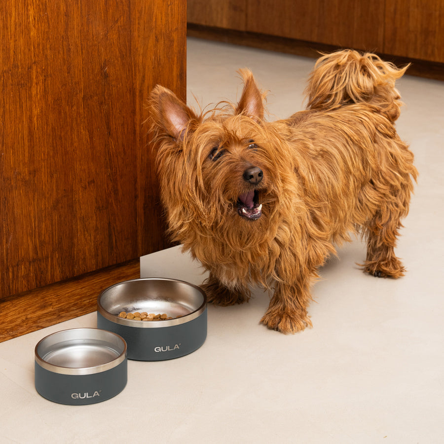 Dog Bowl - Olive Green Stainless Steel