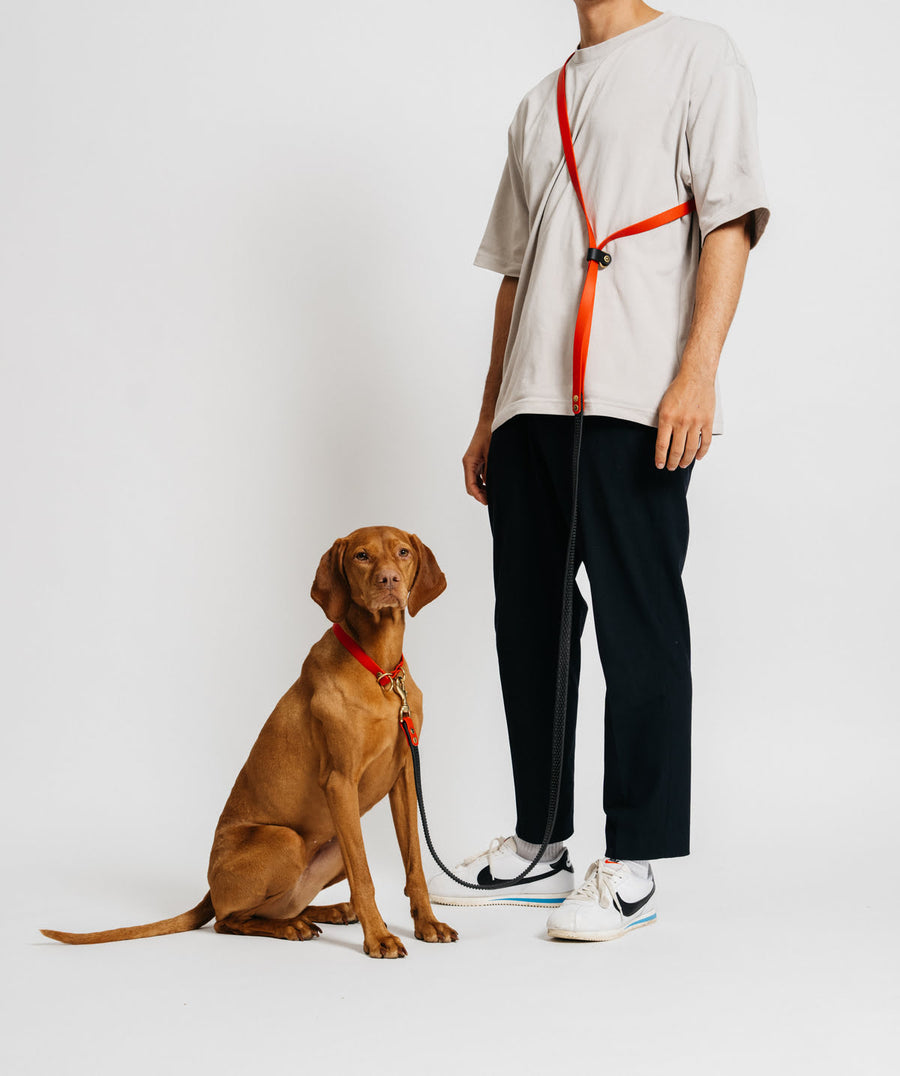 Handsfree dog leash - Red