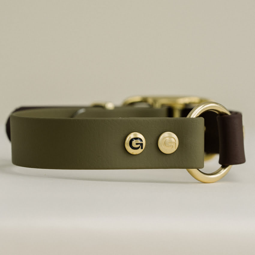 GULA DOG CARE II Dog Collar Olive Green & Brown II Olive Green & Brown - 20MM (â¬44.50) / XS (22-28CM) - Gula Dog Care