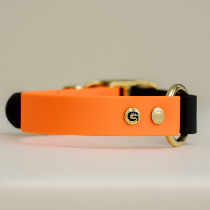 GULA DOG CARE II Dog Collar Bright Orange & Black II Bright Orange & B - 20MM (â¬44.50) / XS (22-28CM) - Gula Dog Care