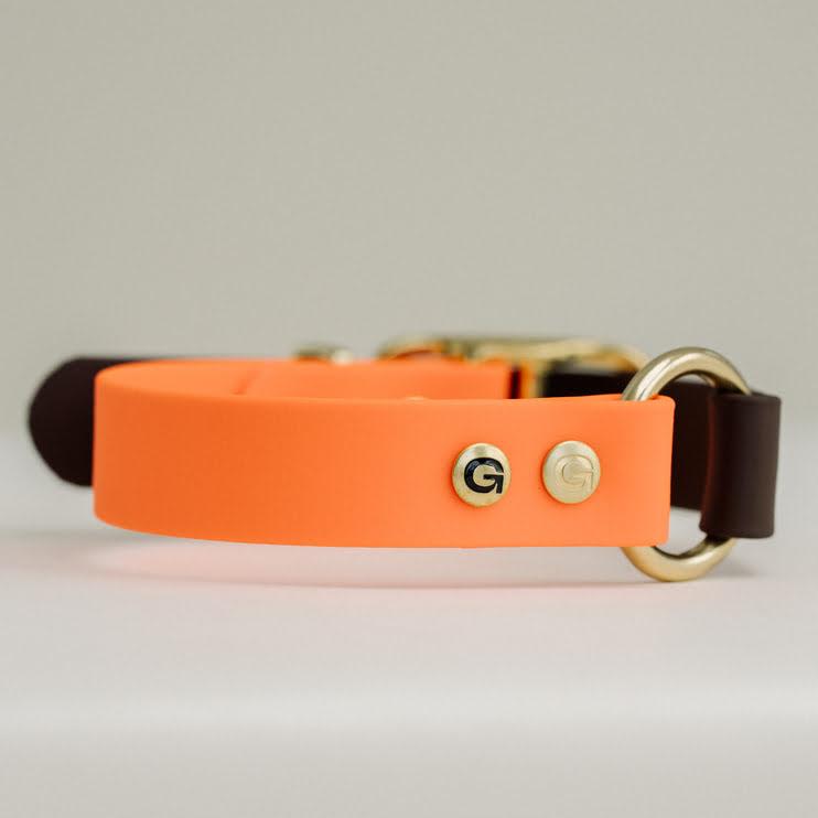 GULA DOG CARE II Dog Collar Bright Orange & Brown II Bright Orange & B - 20mm / XS (22-28CM) - Gula Dog Care