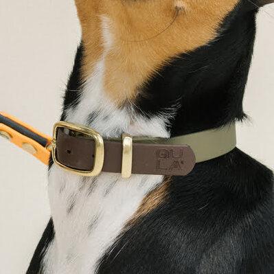 Hond met halsband Olijf Groen & Bruin - GULA Dog Care