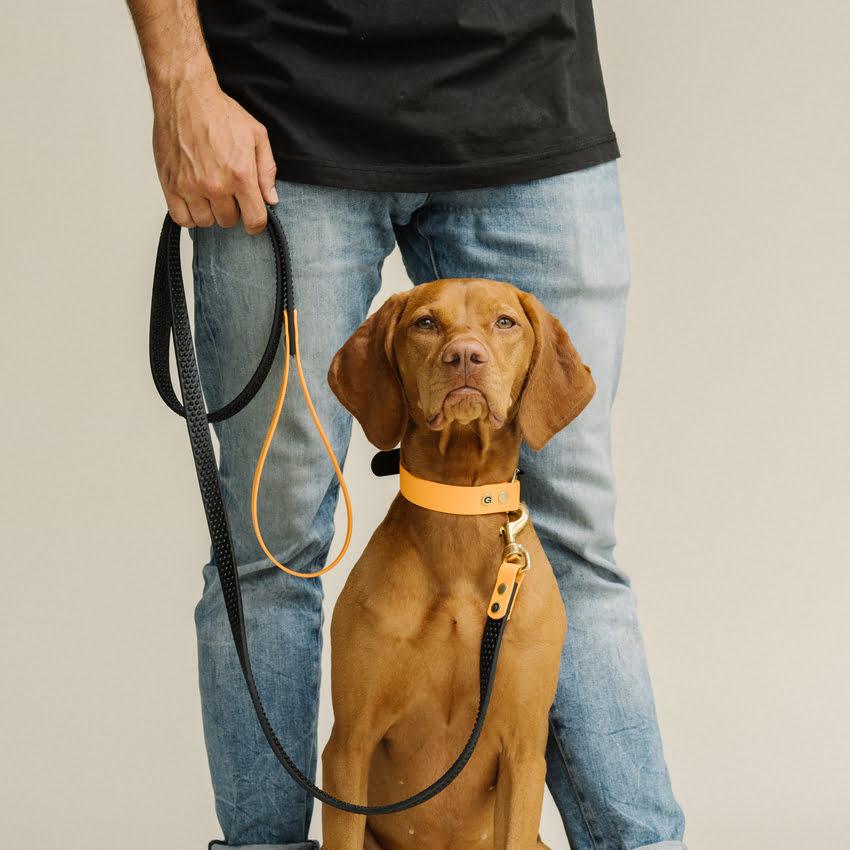 Vizsla halsband Oranje & Zwart met biothaan hondenriem