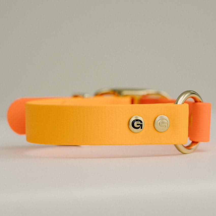 Fel Oranje & Oranje honden halsband- Gula Dog Care