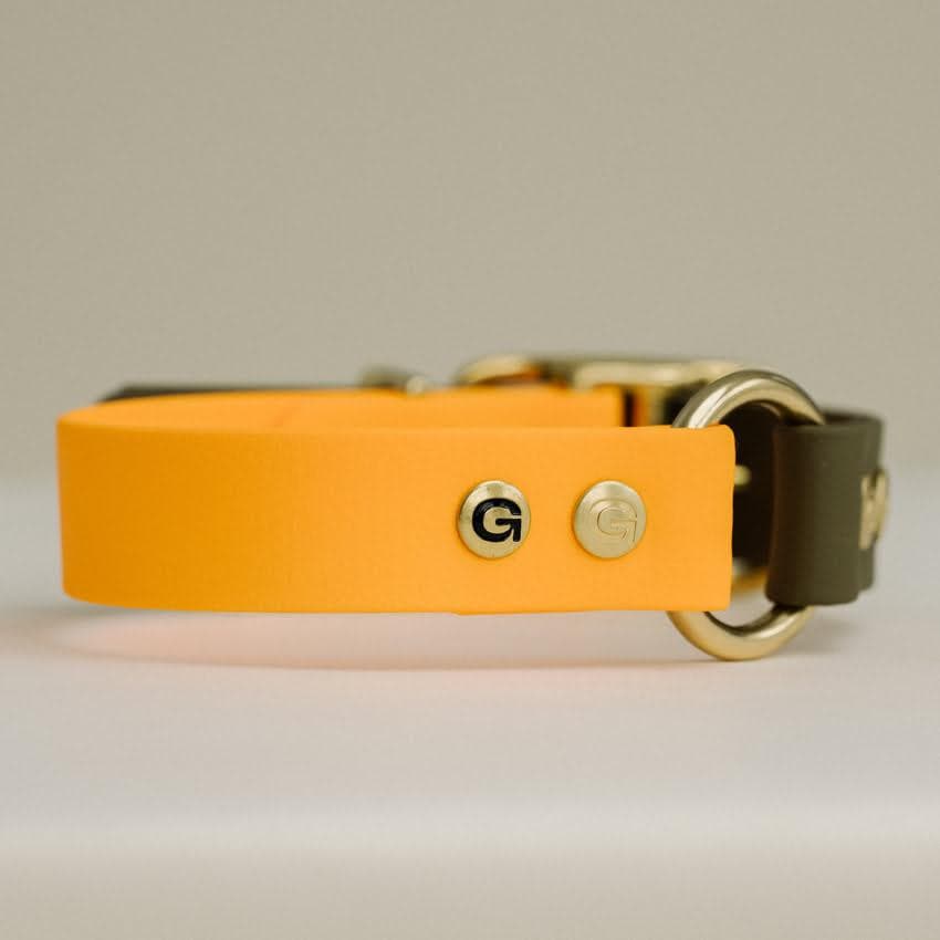 Durable Dog Collar Orange & Olive Green - 20MM (available in the sizes XS en S) / XS (22-28CM) - Gula Dog Care